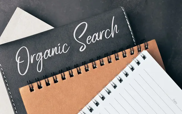 What is Organic SEO?