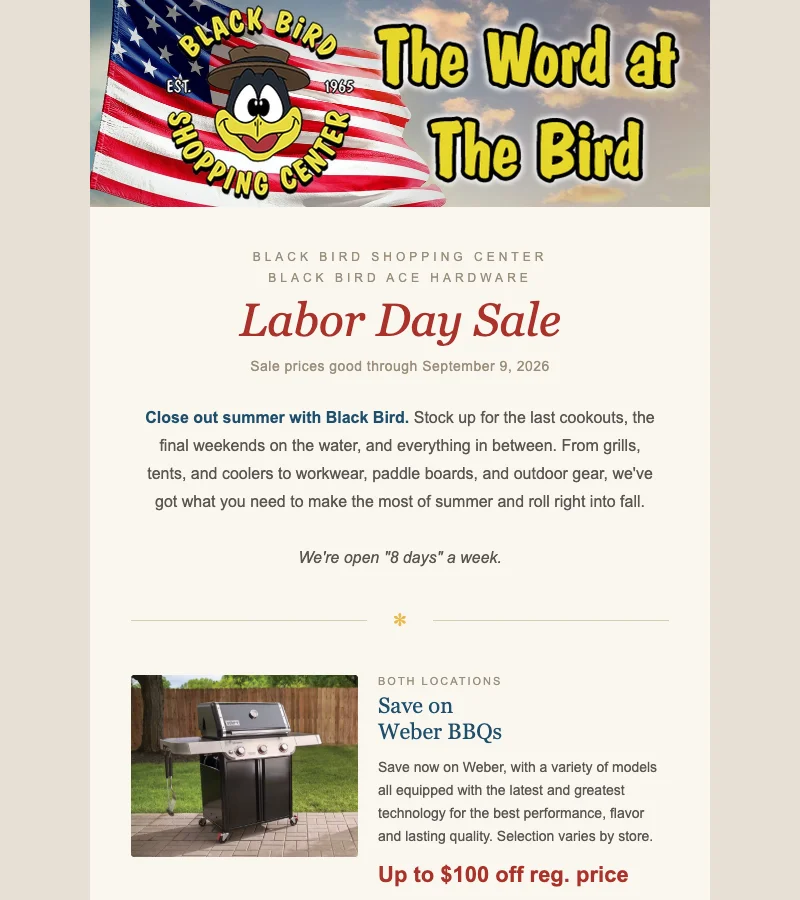 The Black Bird Labor Day Sale newsletter design